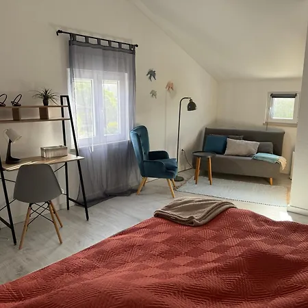 Octopus Space * サン・マルティーニョ・ド・ポルト