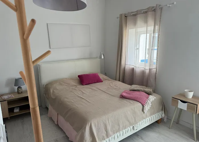 Octopus Space Apartment